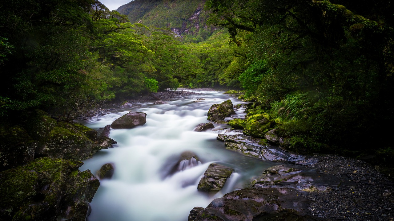 stream water rocks free photo