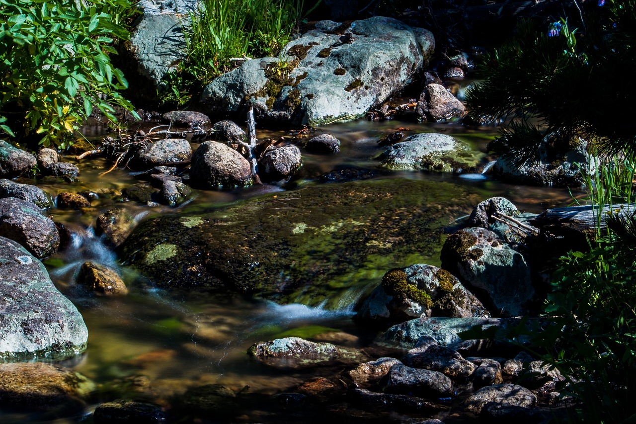 stream water river free photo