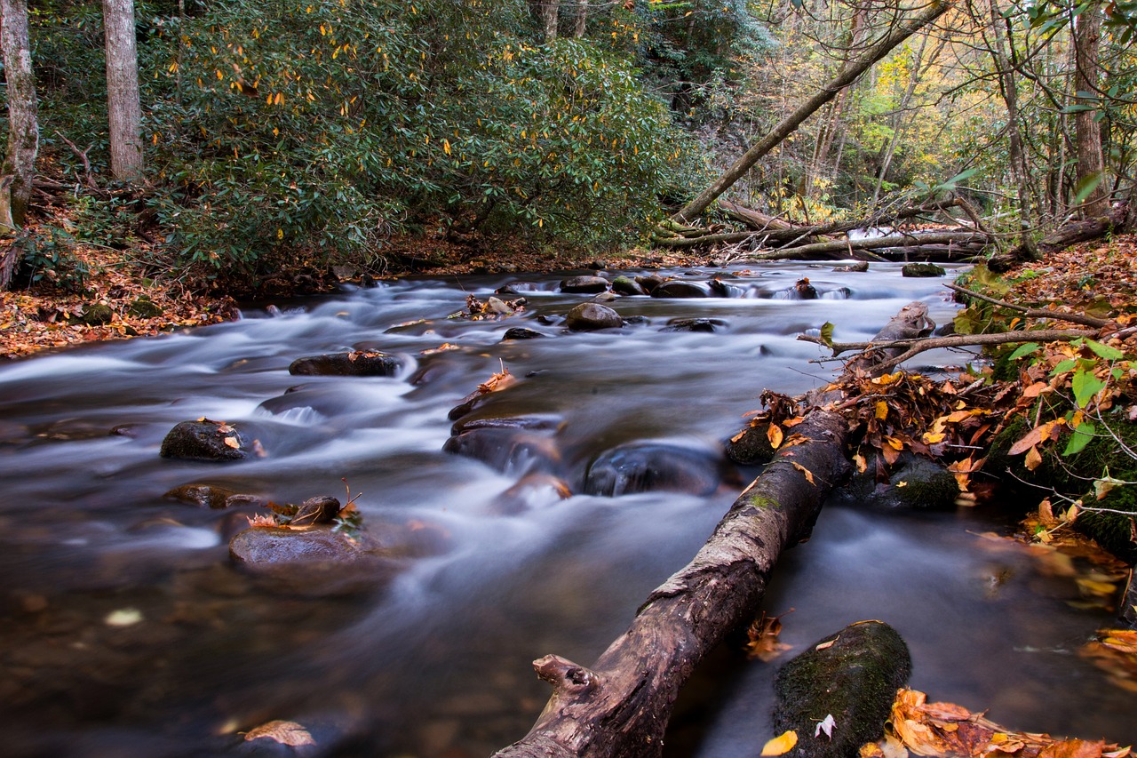 stream water rocks free photo