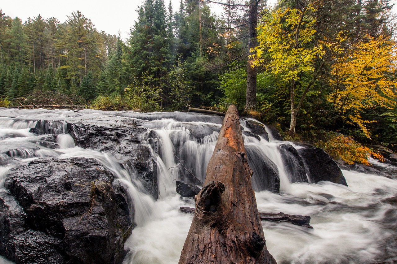 stream water nature free photo