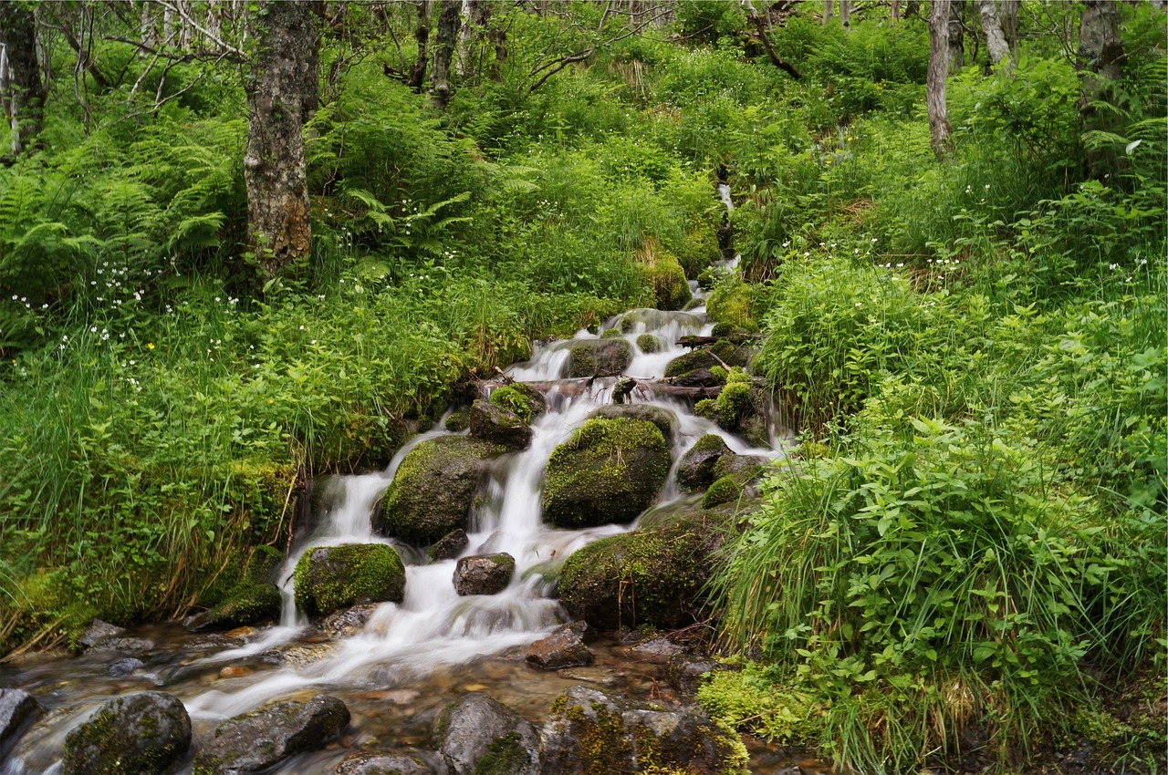 stream water rocks free photo