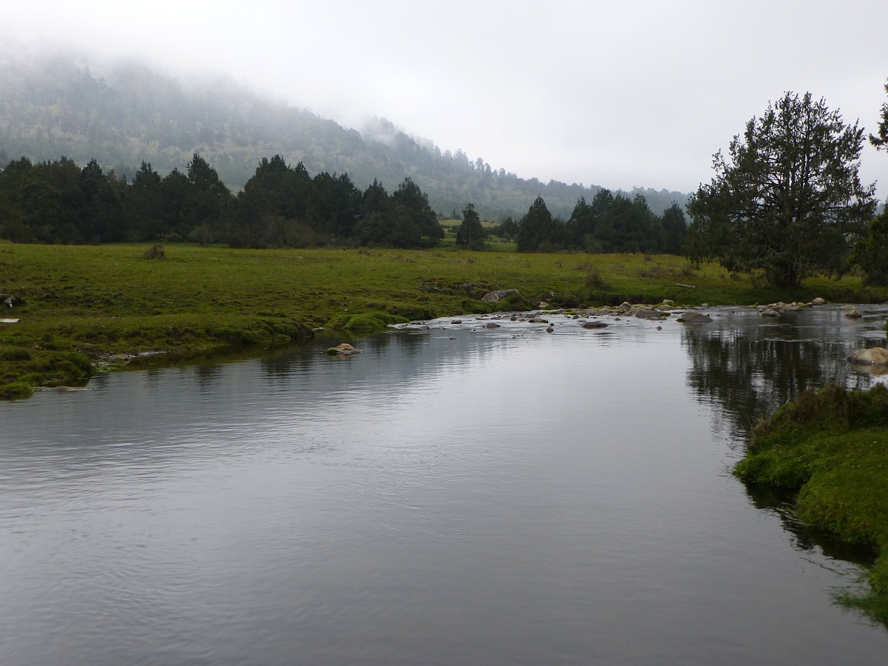 stream valley mist free photo