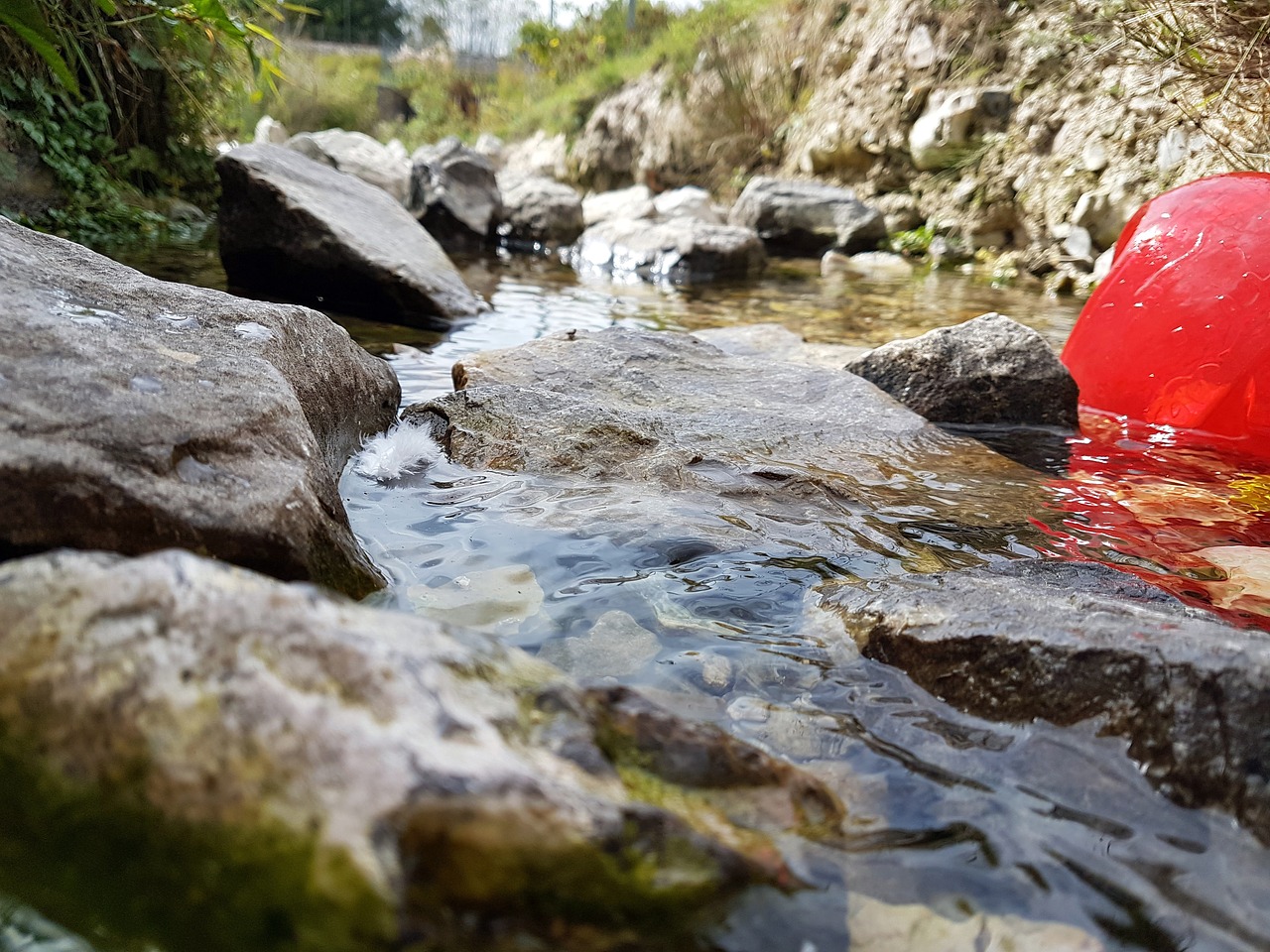 stream rocks water free photo