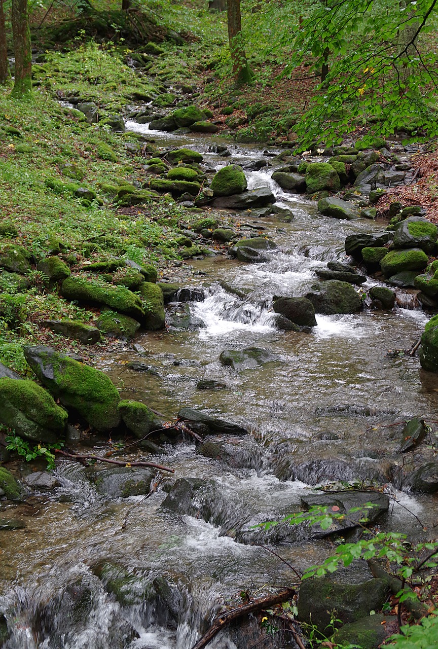 stream torrent mountain free photo