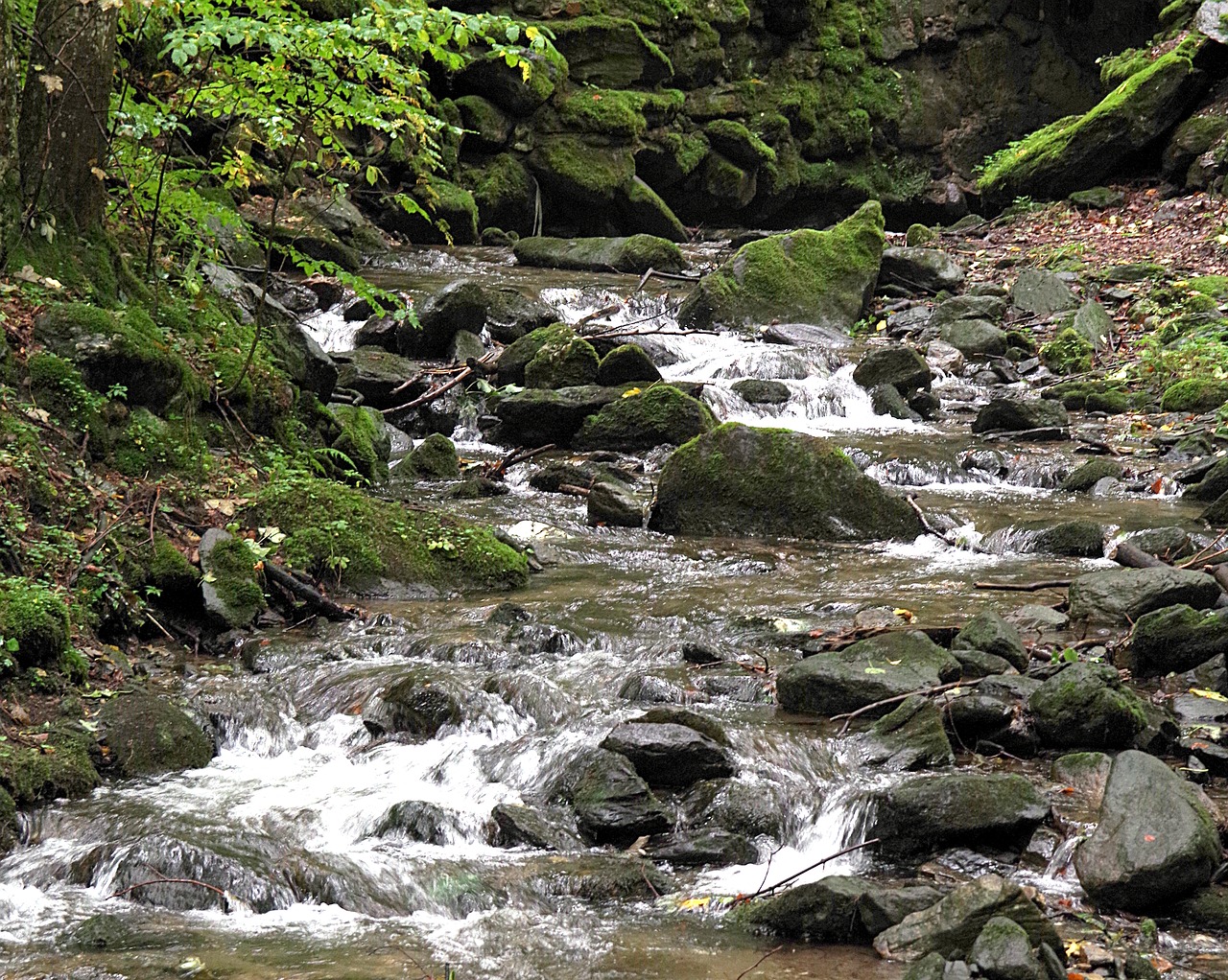 stream torrent mountain free photo