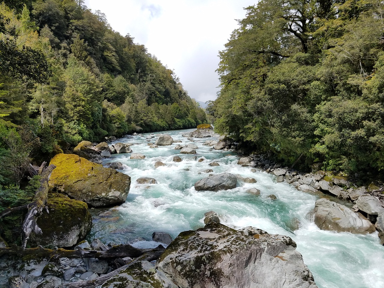 stream fresh water free photo