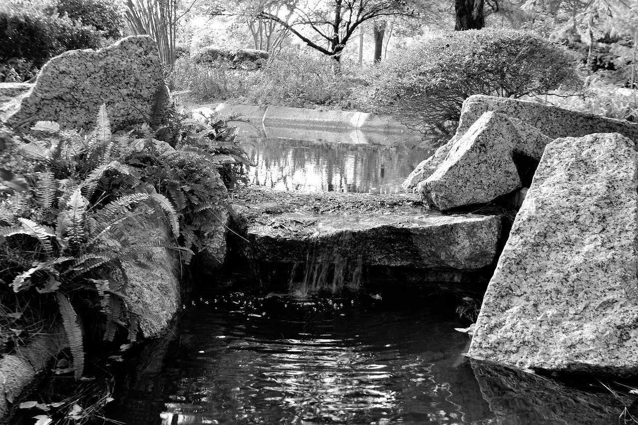 stream waterfall park free photo