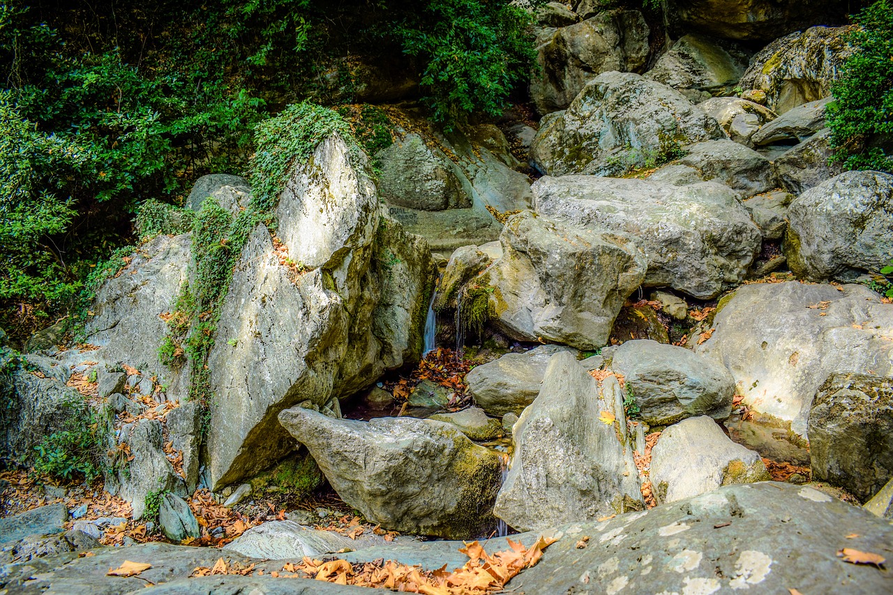 stream rock nature free photo