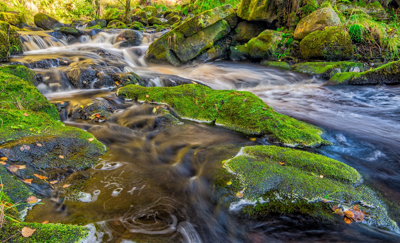 stream autumn yorkshire free photo