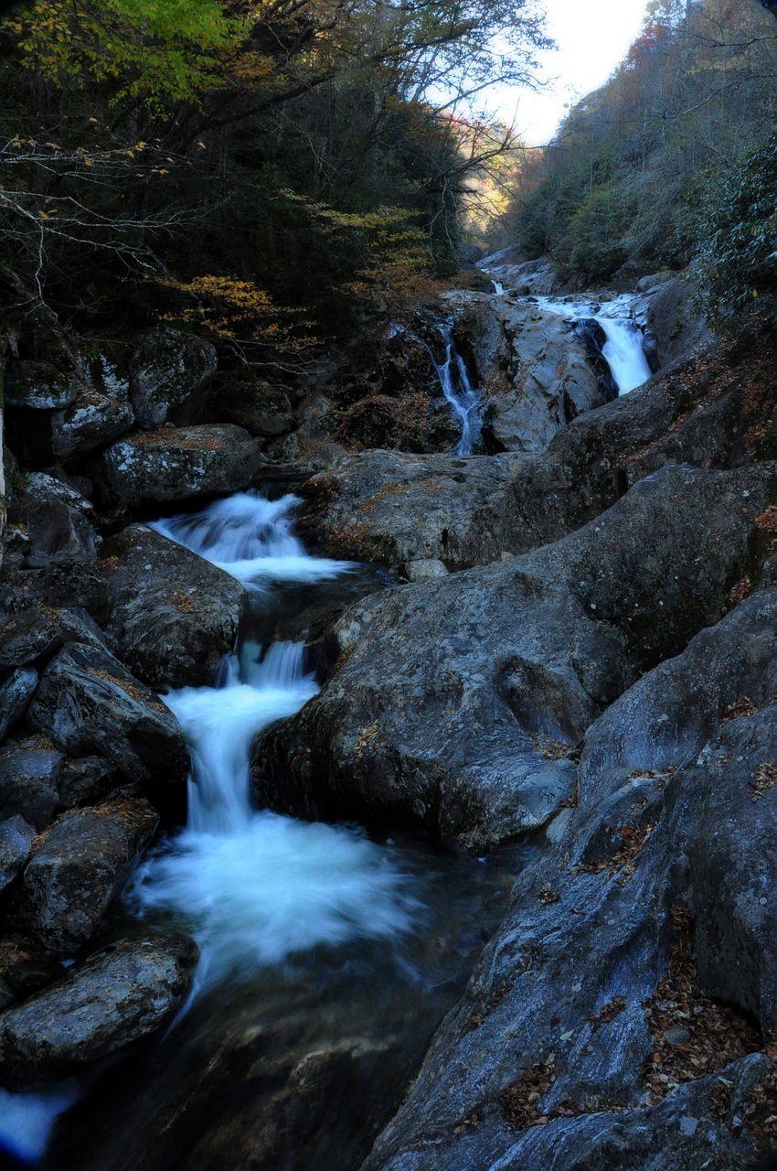 stream  waterfall  river free photo