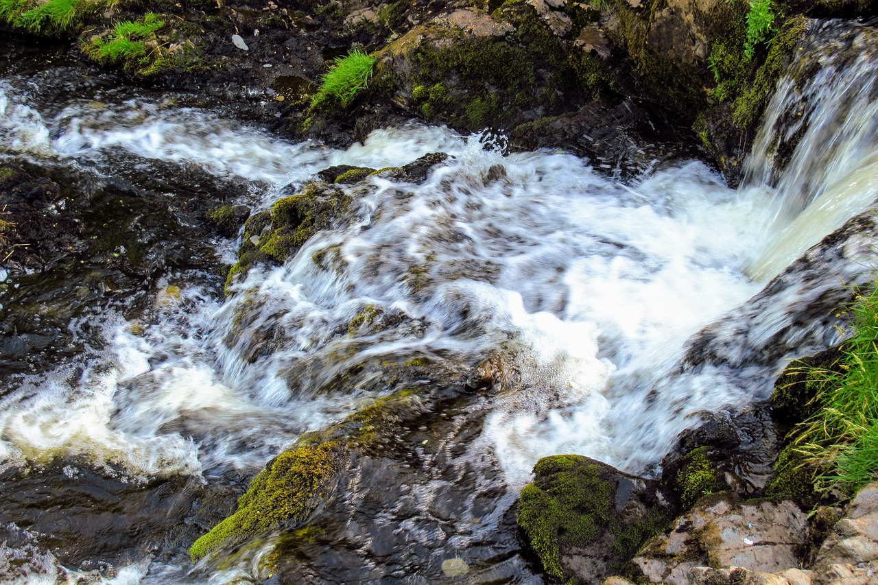 stream  river  wales free photo