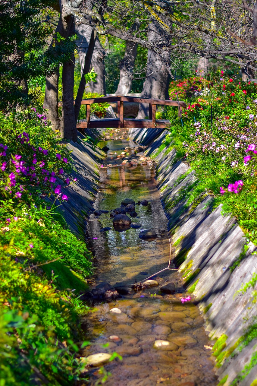 stream  garden  plants free photo