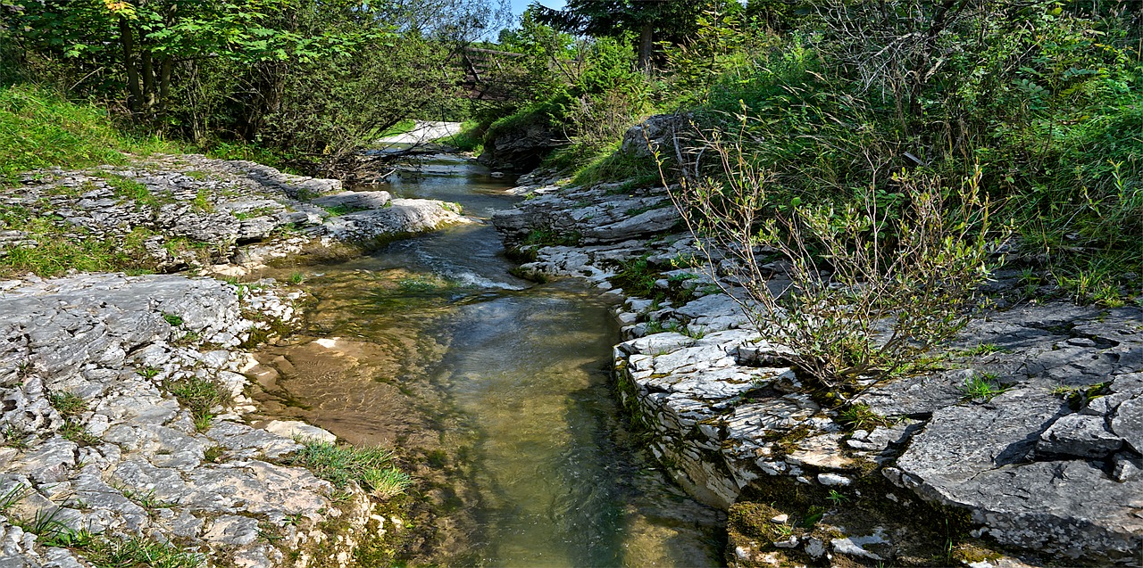 stream  water  mountains free photo