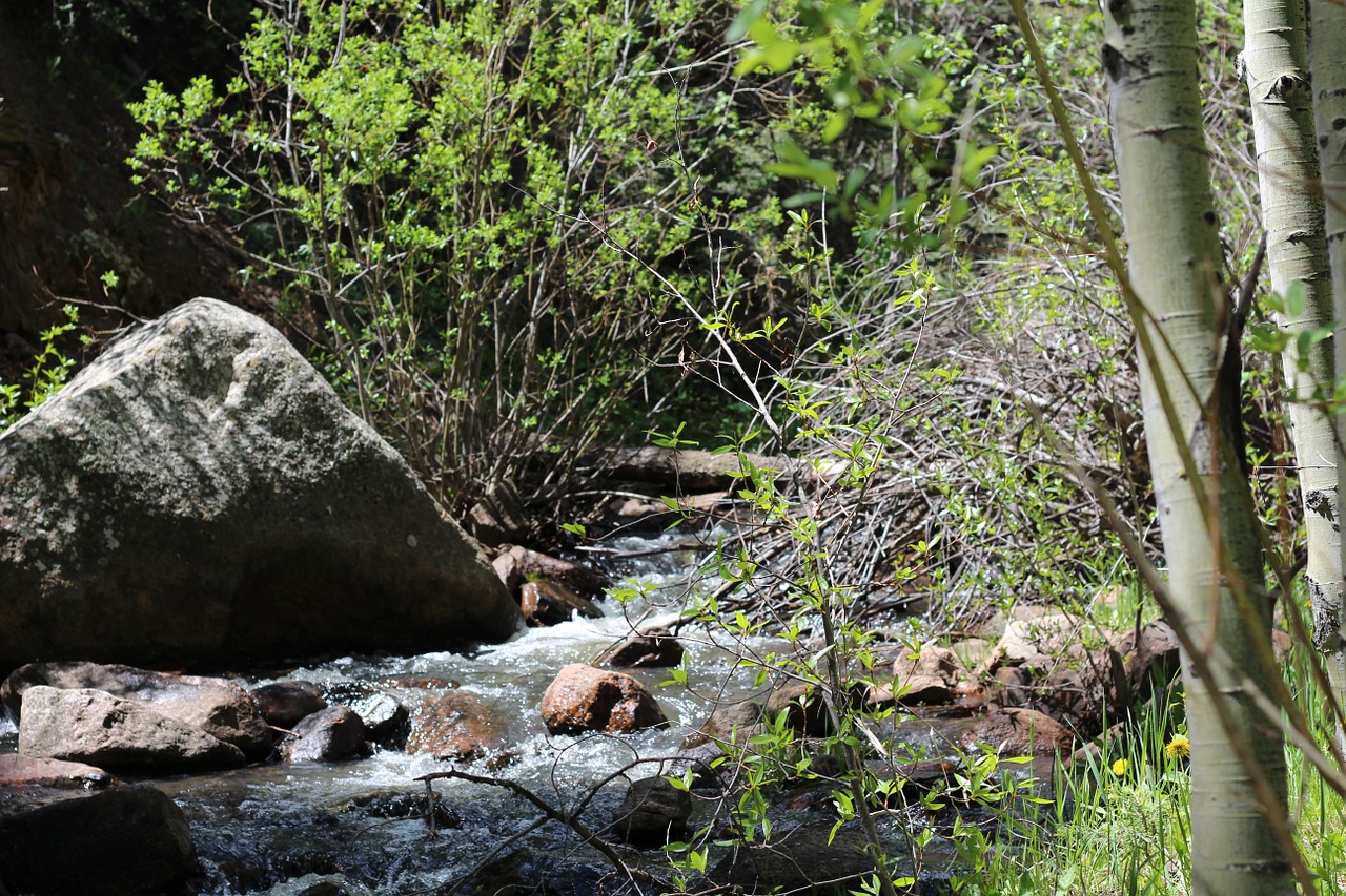 stream water rocks free photo