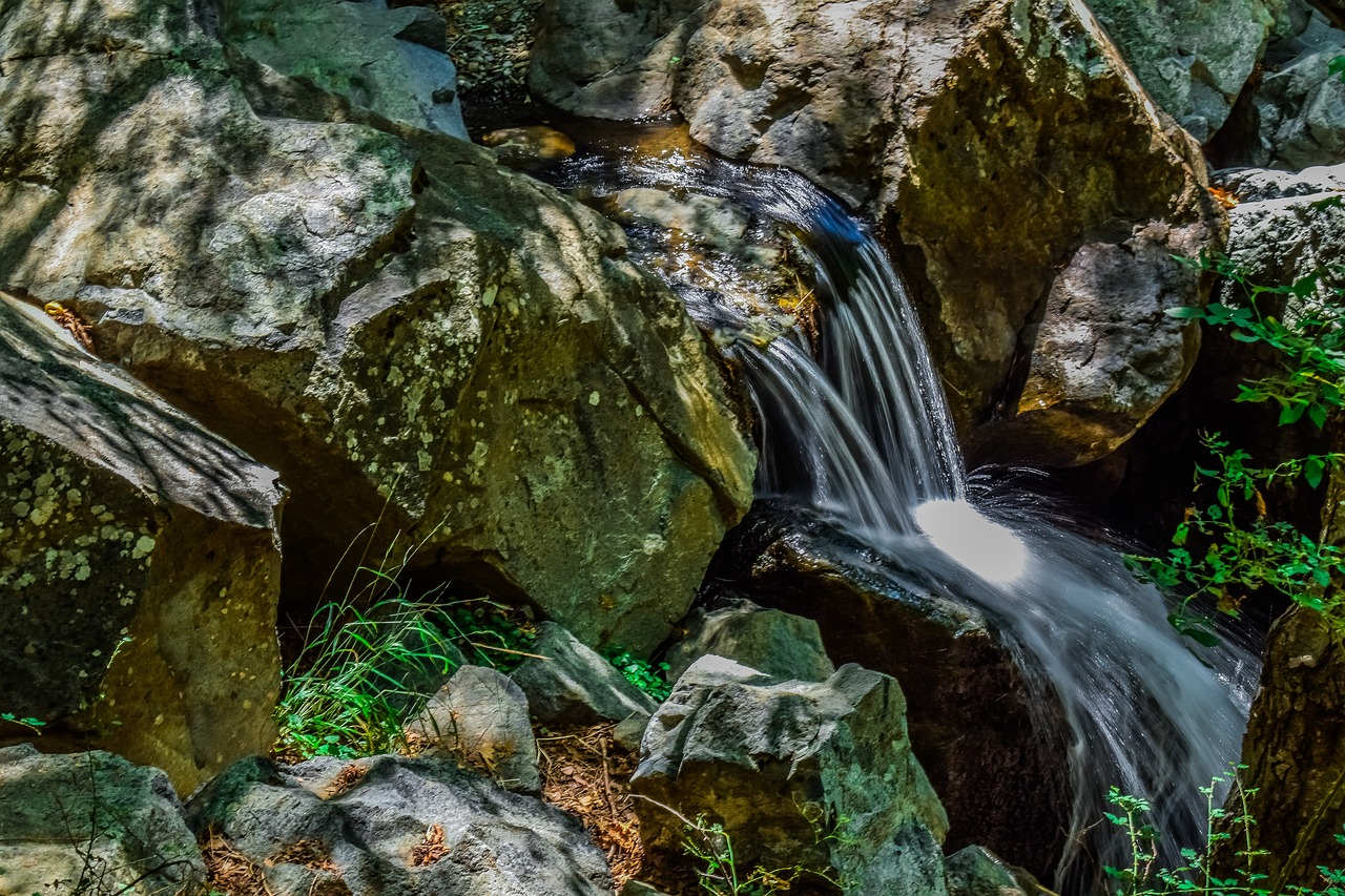 stream  water  creek free photo