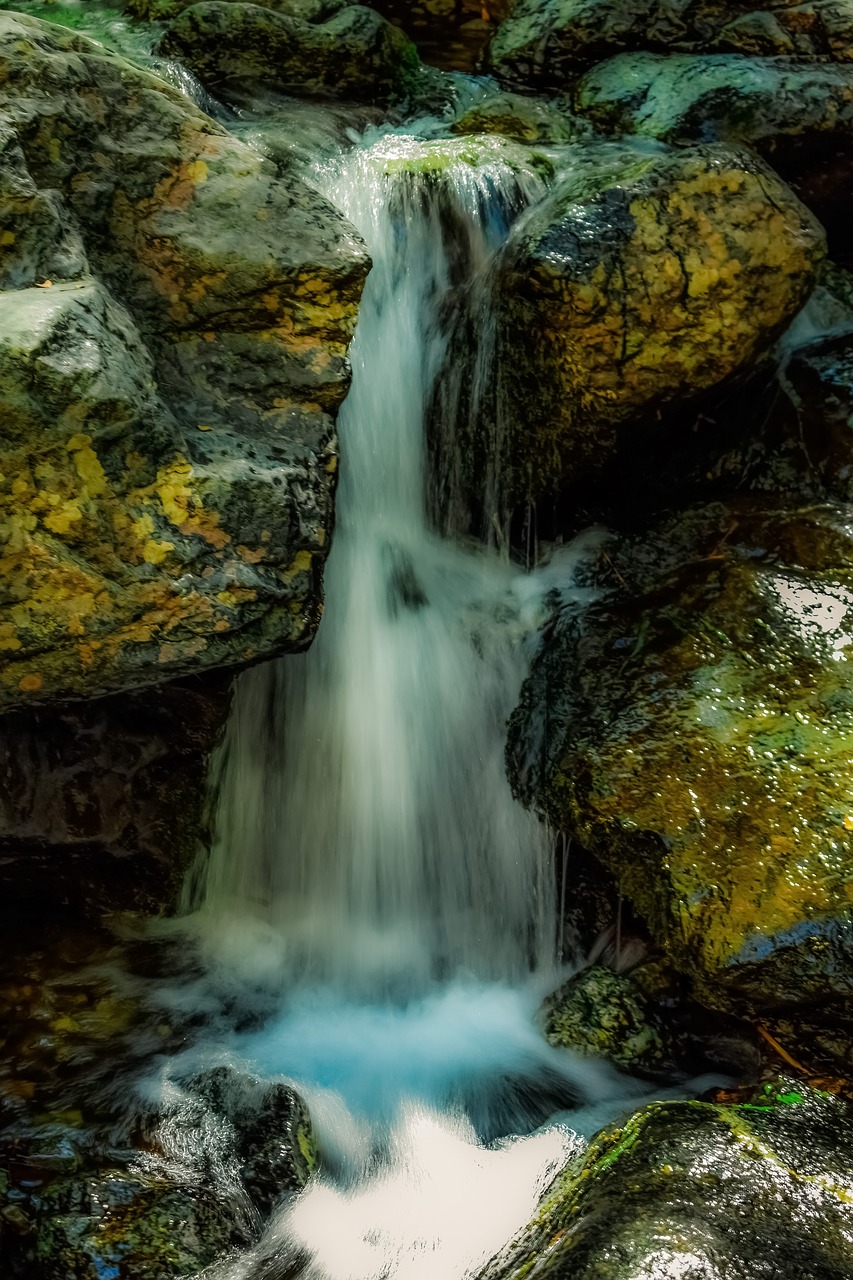 stream  water  creek free photo