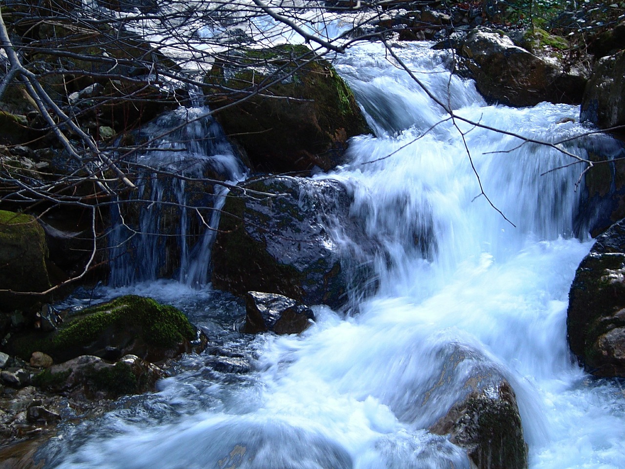 stream nature water free photo