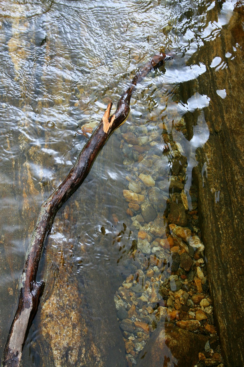 stream water ripples free photo