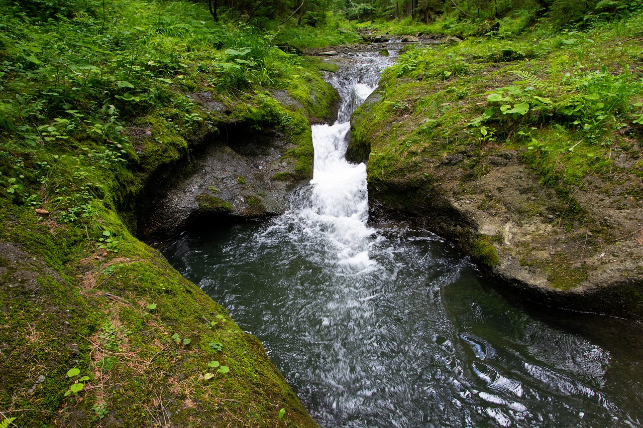 stream  beskydy  czech republic free photo