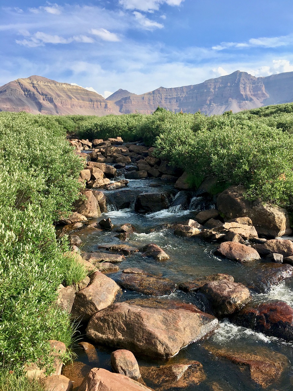 stream  mountain  river free photo