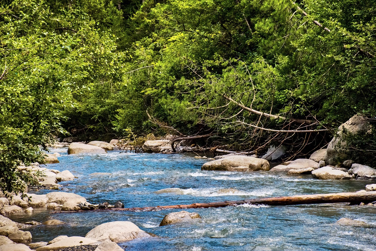 stream  alpine  river free photo