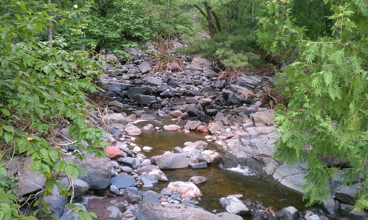 stream water flowing free photo