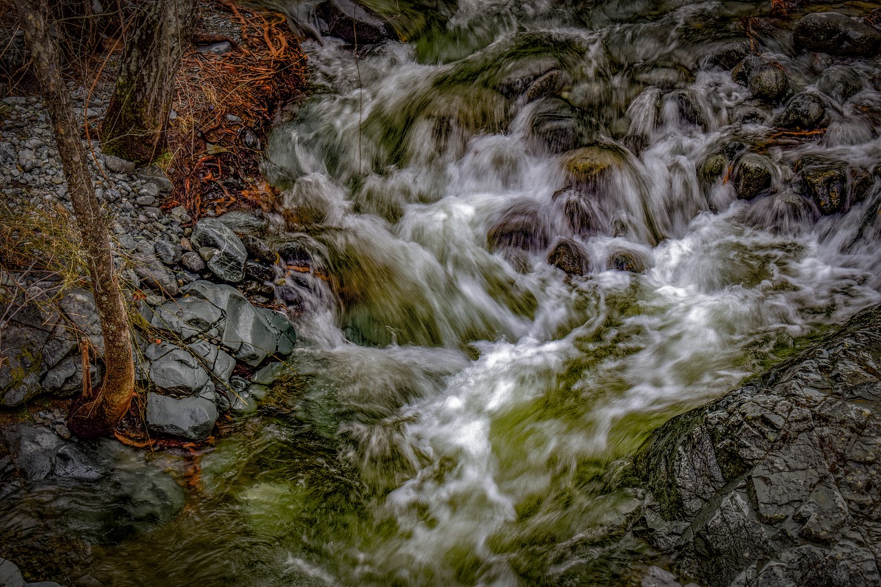 stream  water  creek free photo