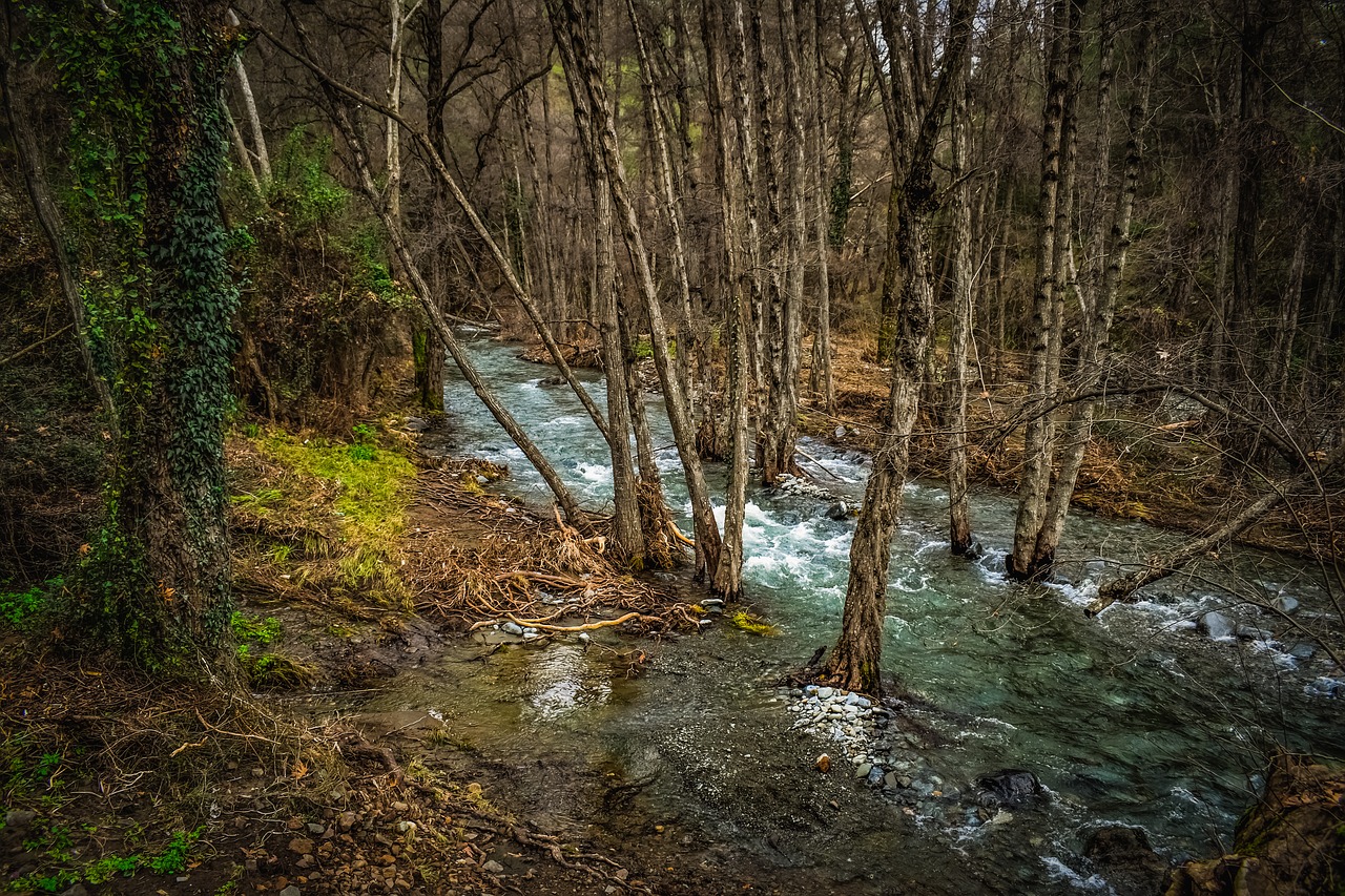 stream  creek  river free photo