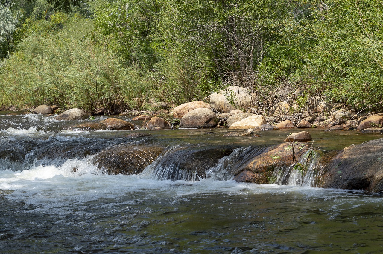 stream  creek  rocks free photo