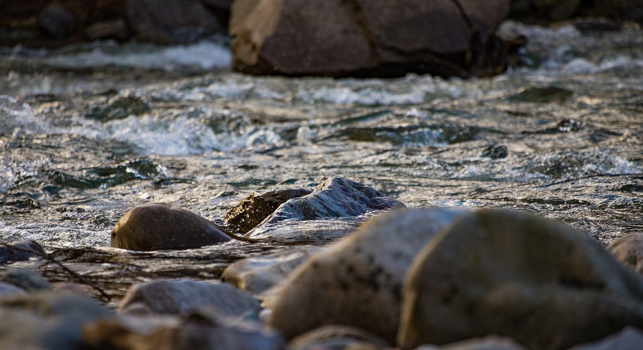 stream  water  glitters free photo