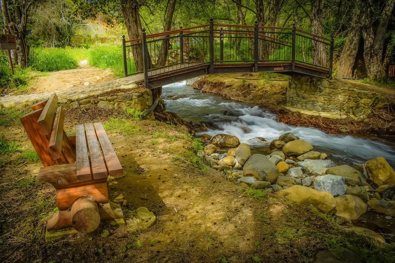 stream  creek  scenic free photo