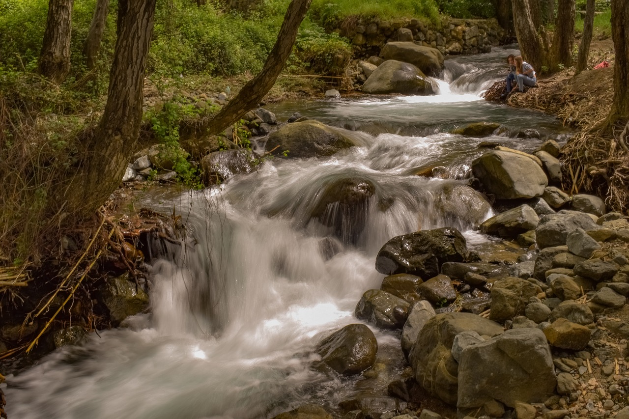 stream  creek  scenic free photo