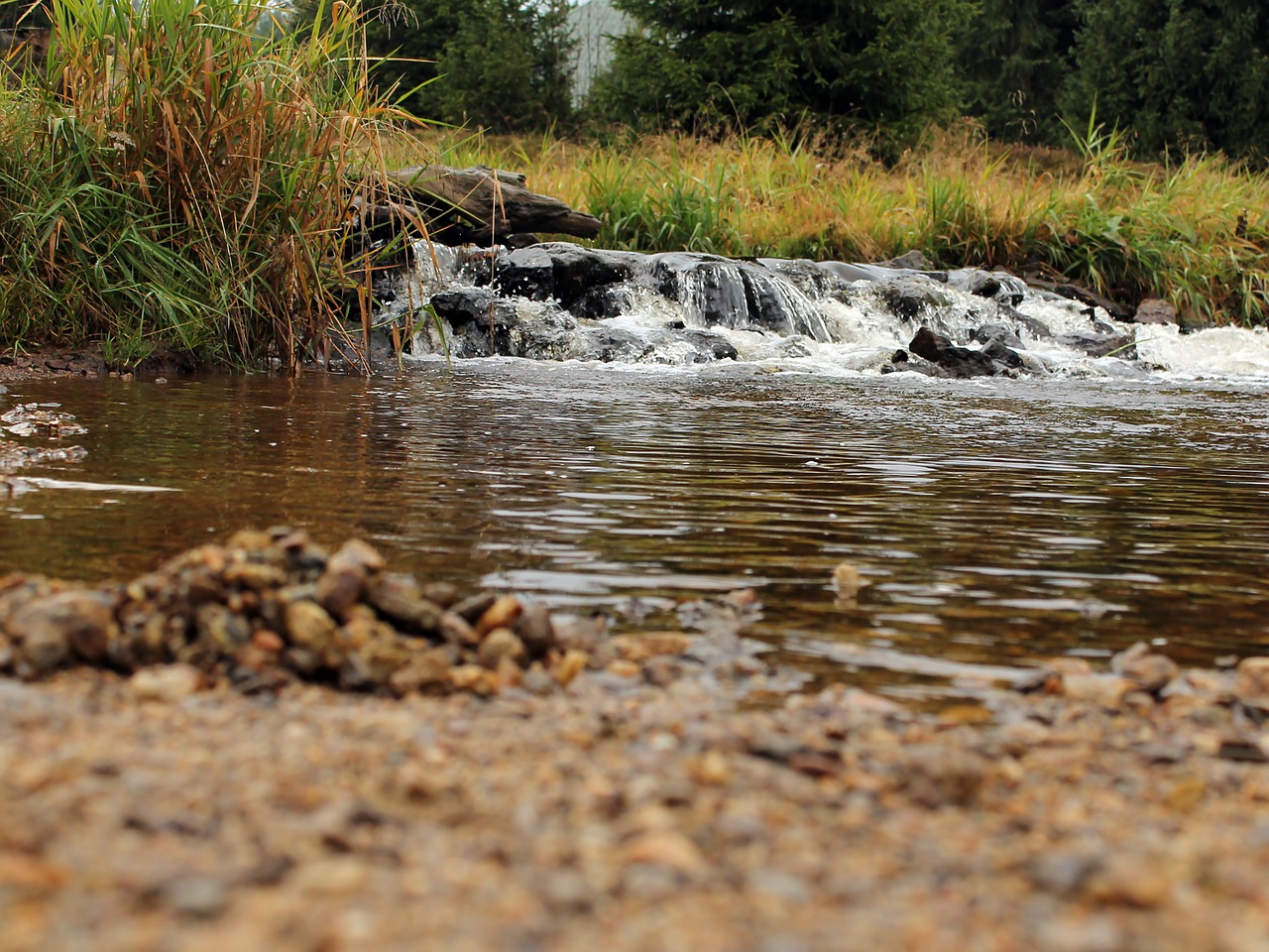 stream stone weir free photo