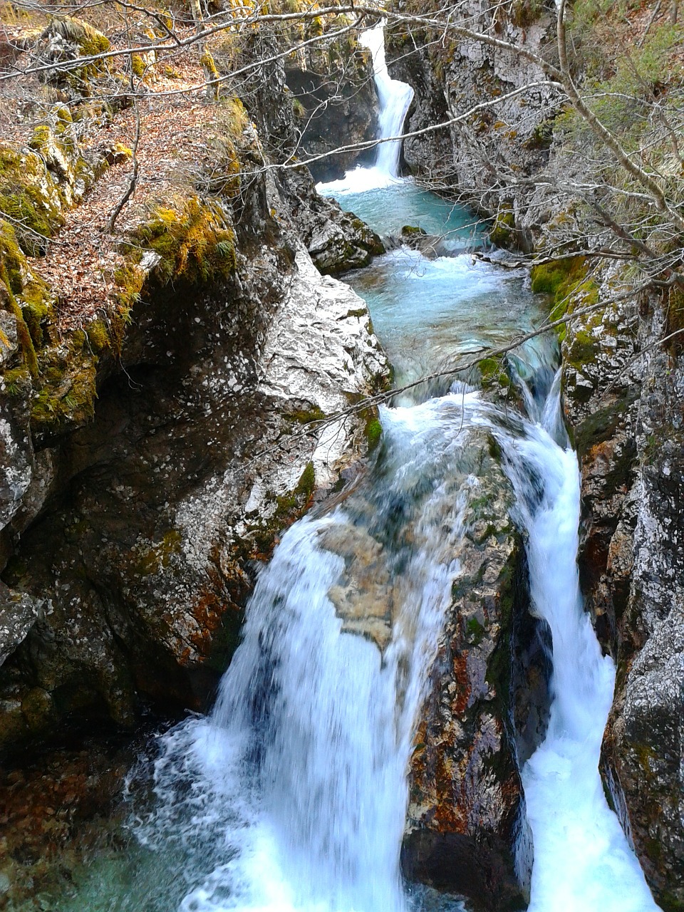 stream water forest free photo