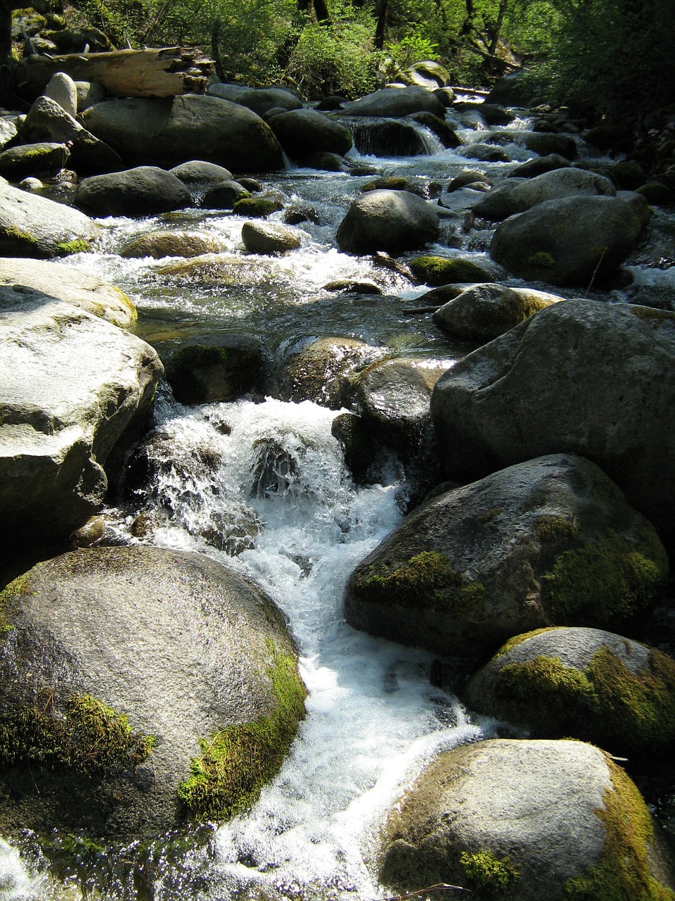 stream creek water free photo