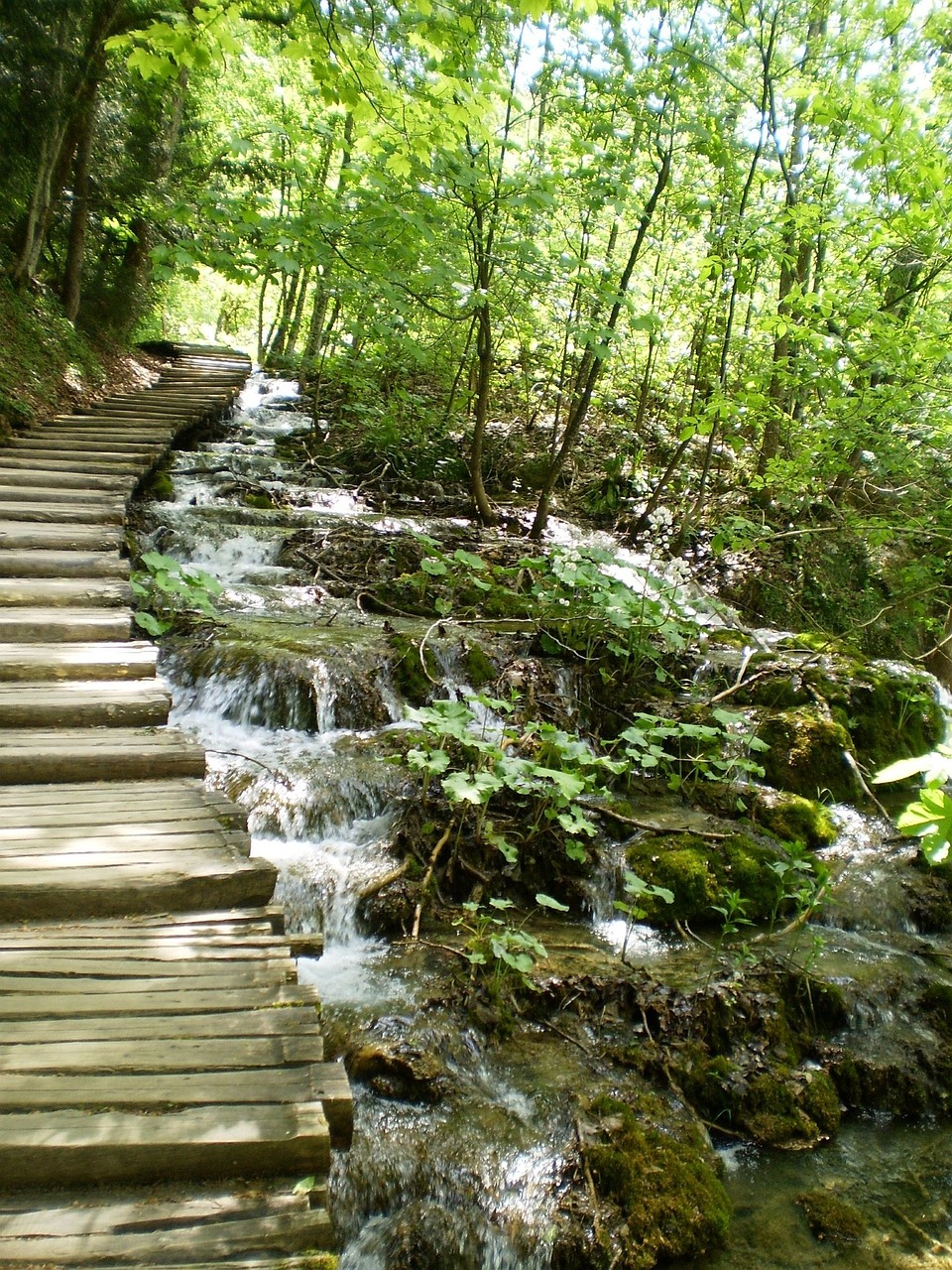 stream water waterfall free photo