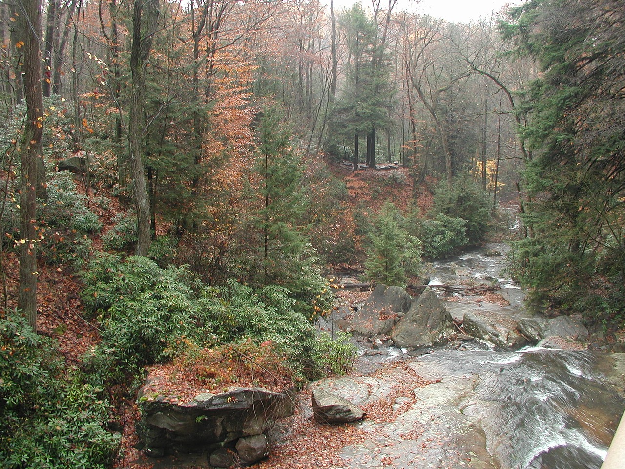 stream river nature free photo