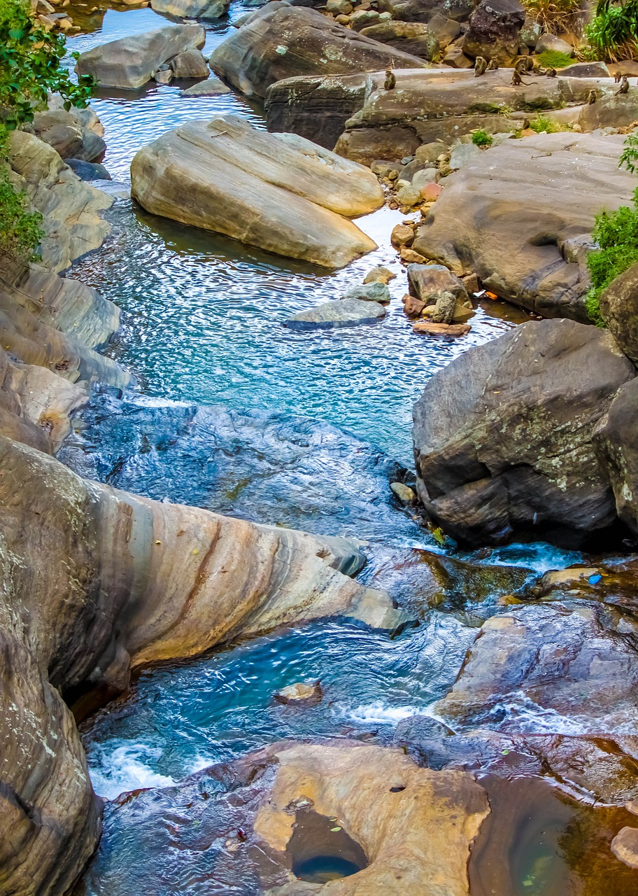 stream water wet free photo