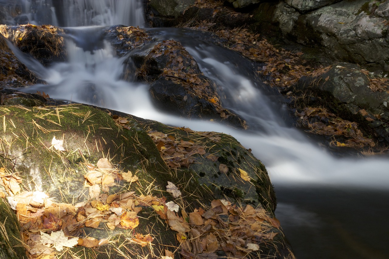 stream flow water free photo