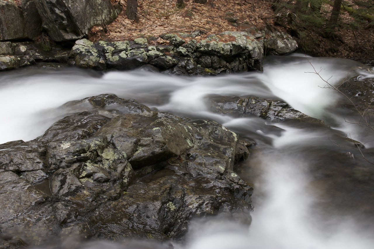 stream flow water free photo