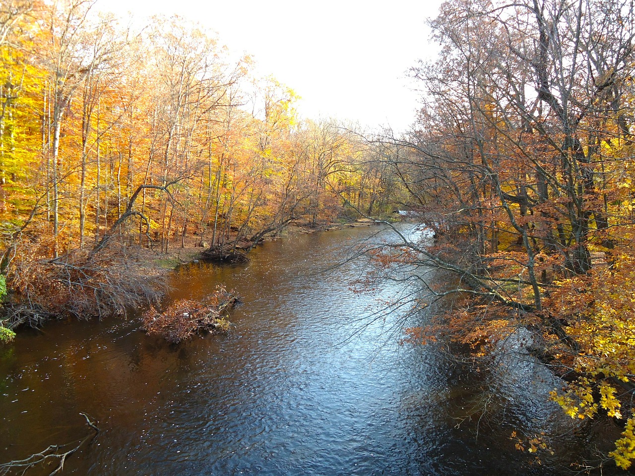 stream creek water free photo