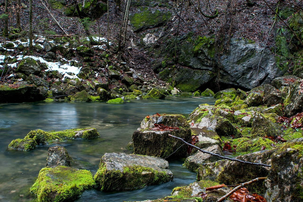 stream creek water free photo