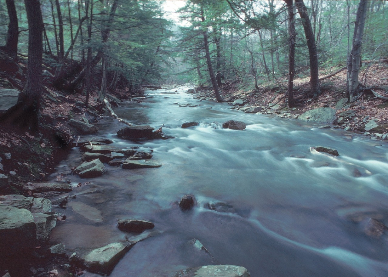 stream wilderness water free photo