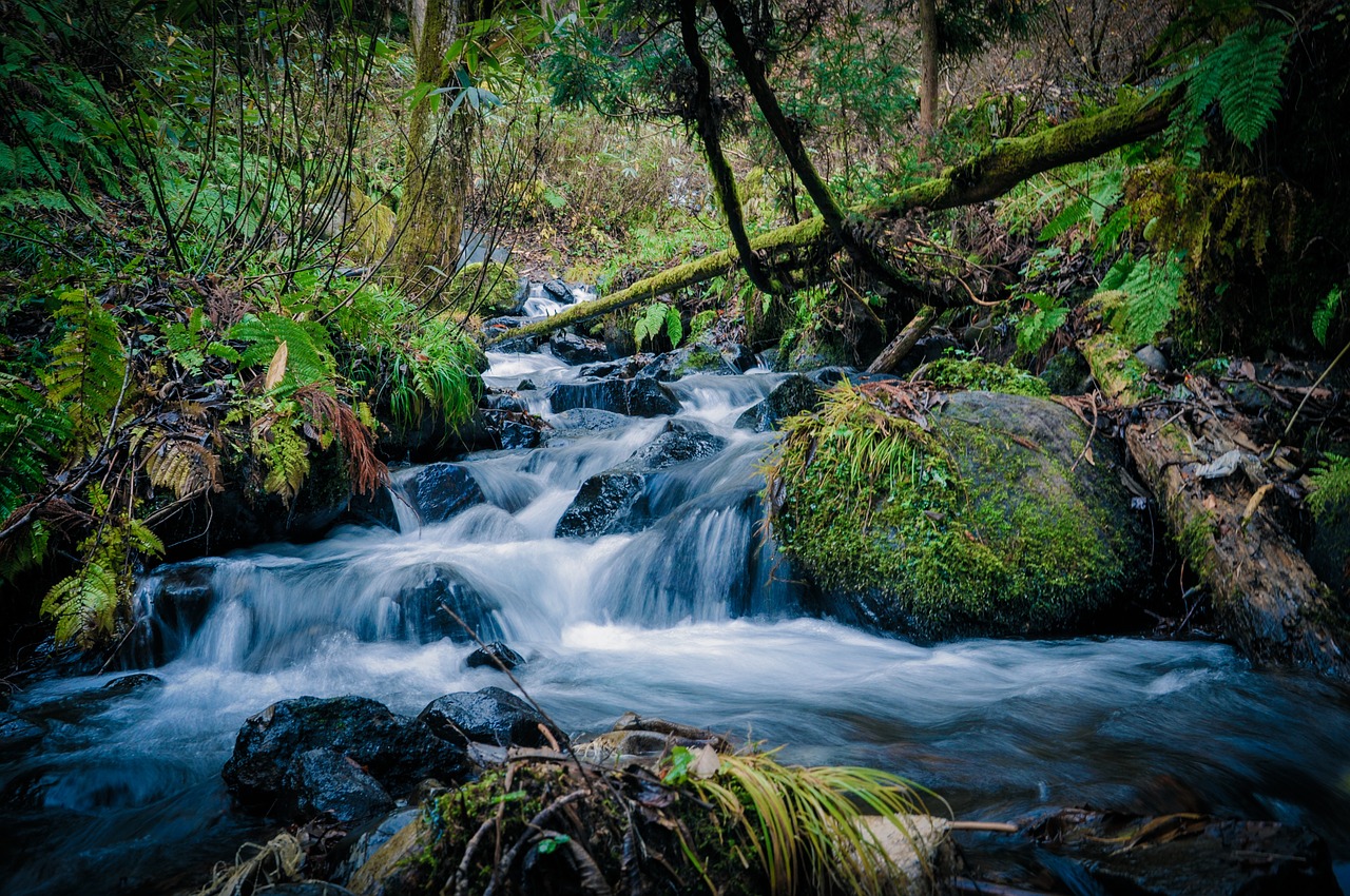 stream waterfall woods free photo