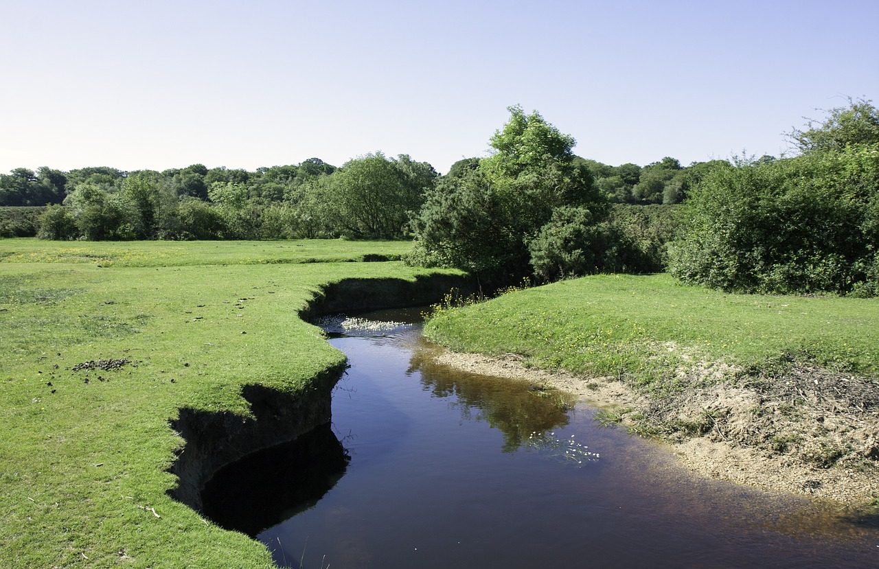 stream countryside brook free photo