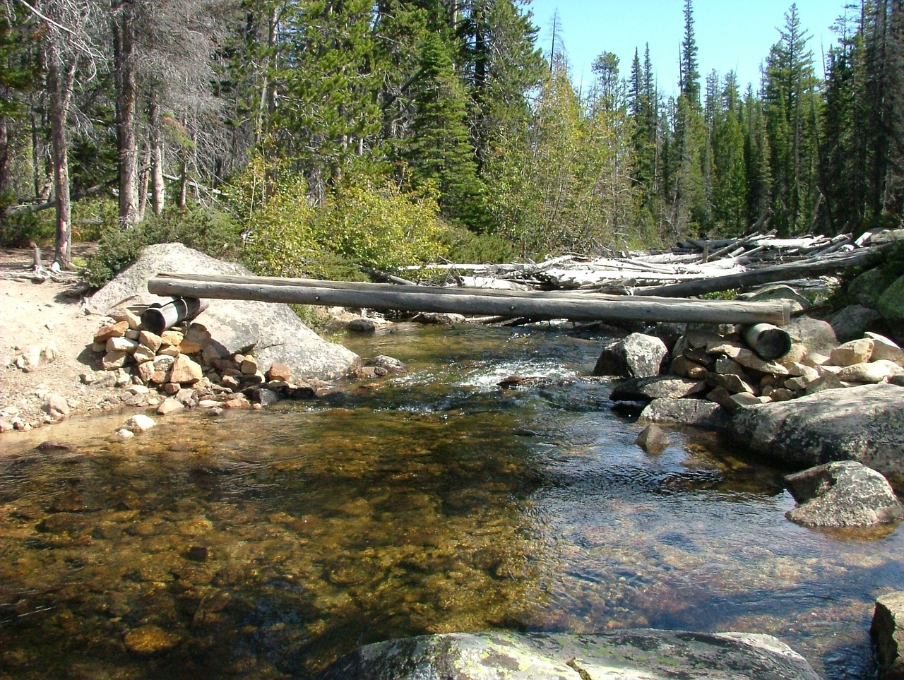 stream lake bridge free photo