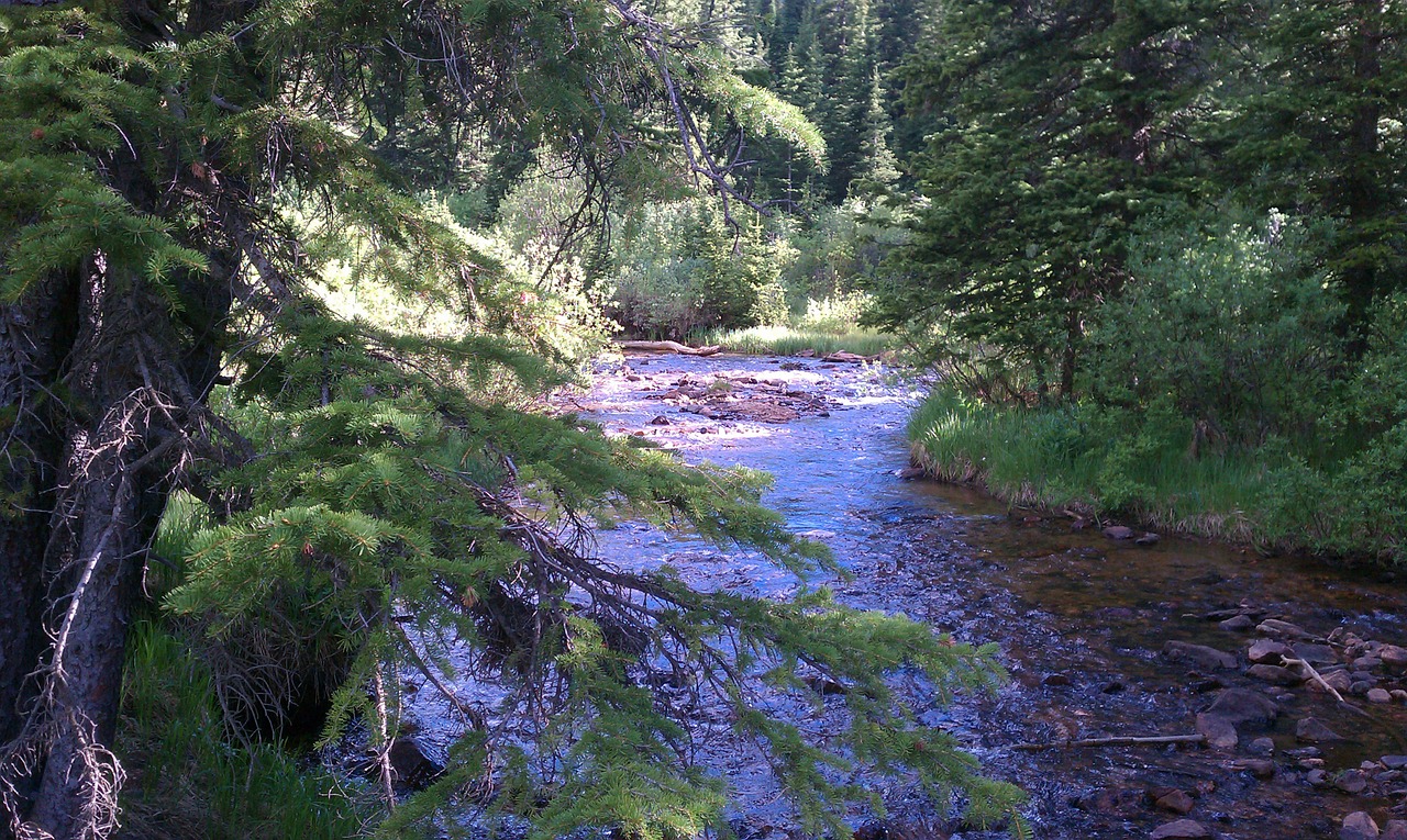 stream water waterfall free photo