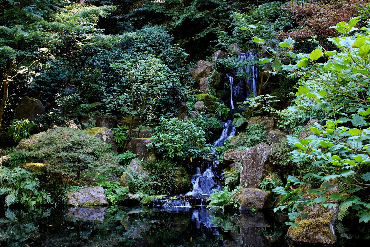 stream waterfall zen free photo