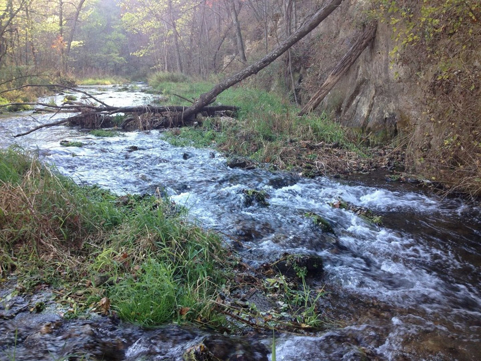 stream rapids scenic free photo