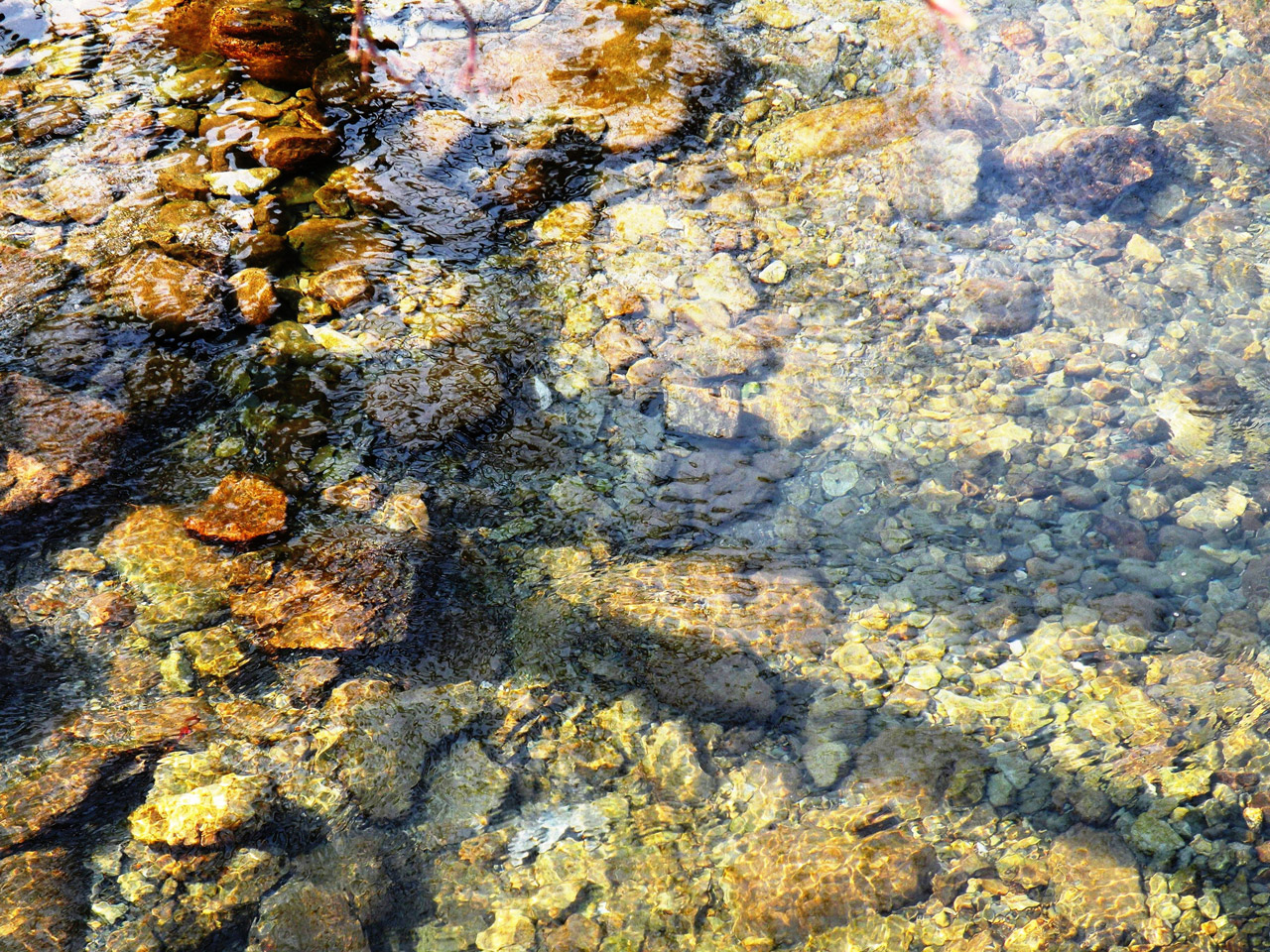 stream water background free photo